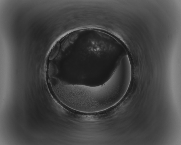 X0000085041508200703051339