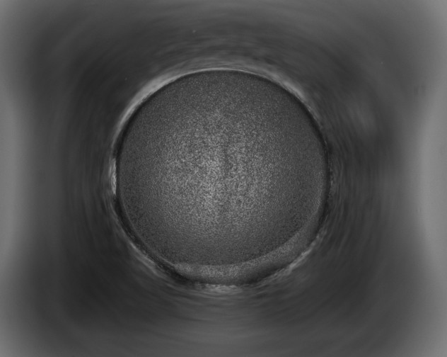 X0000085041509200703051339