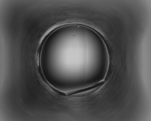 X0000085041510200703051339