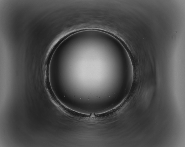 X0000085041511200703051339