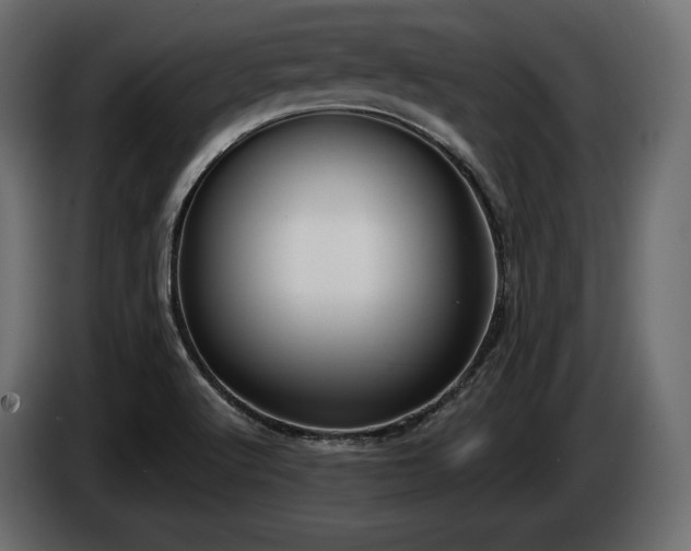 X0000085041512200703051339