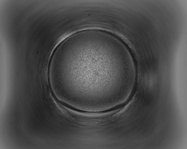 X0000085041513200703051339