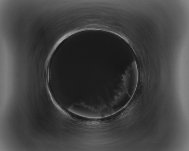 X0000085041515200703051339