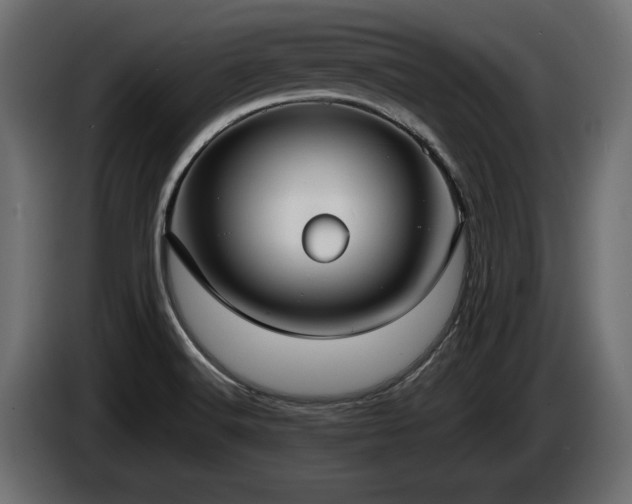 X0000085041516200703051339