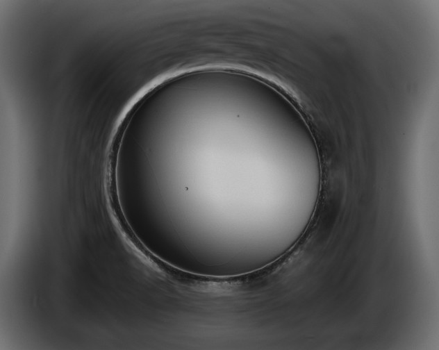 X0000085041518200703051339