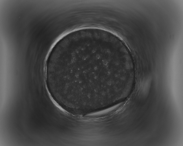 X0000085041519200703051339