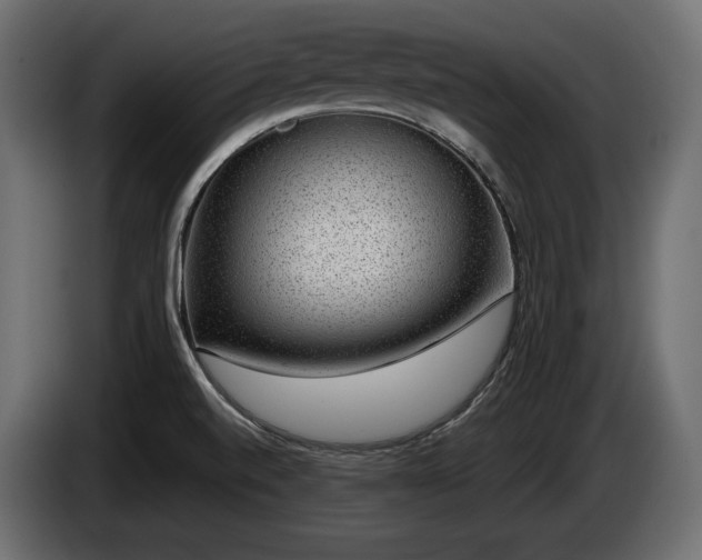 X0000085041520200703051339