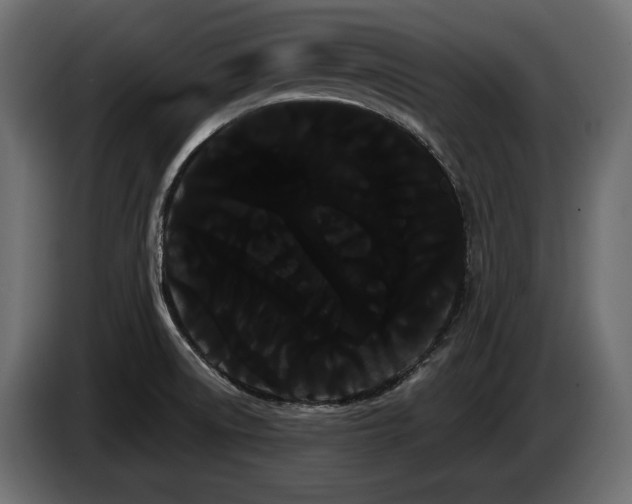 X0000085041522200703051339