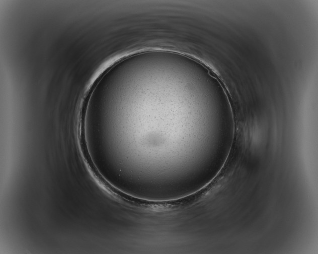 X0000085041523200703051339