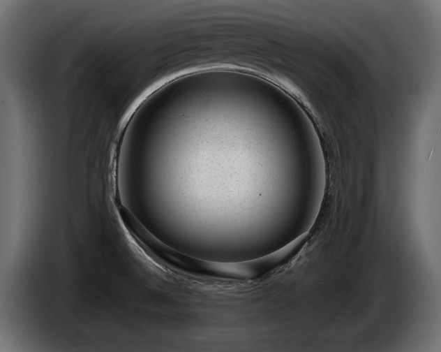 X0000085041524200703051339