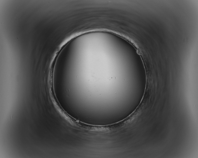 X0000085041526200703051339