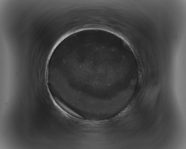 X0000085041527200703051339