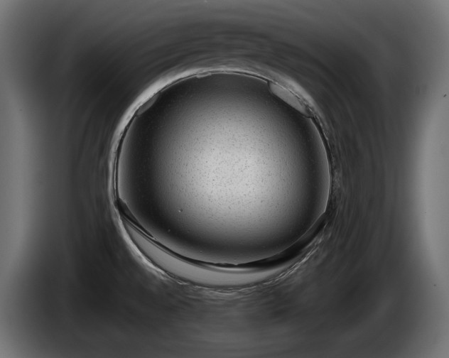 X0000085041528200703051339
