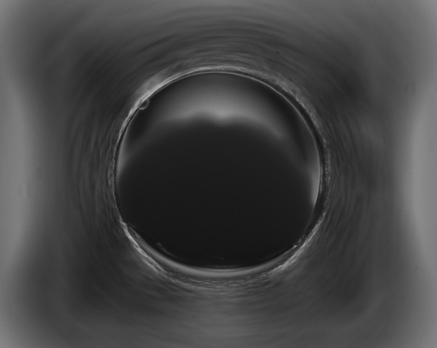 X0000085041529200703051339