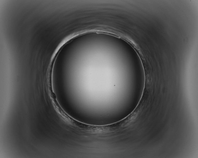 X0000085041530200703051339