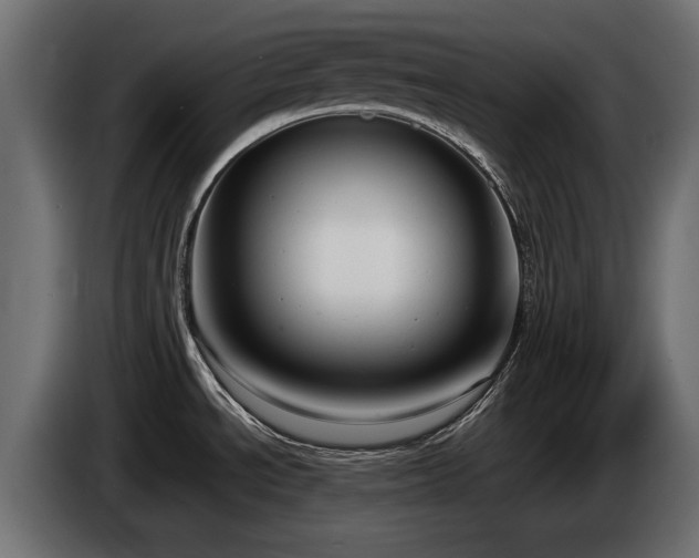 X0000085041534200703051339