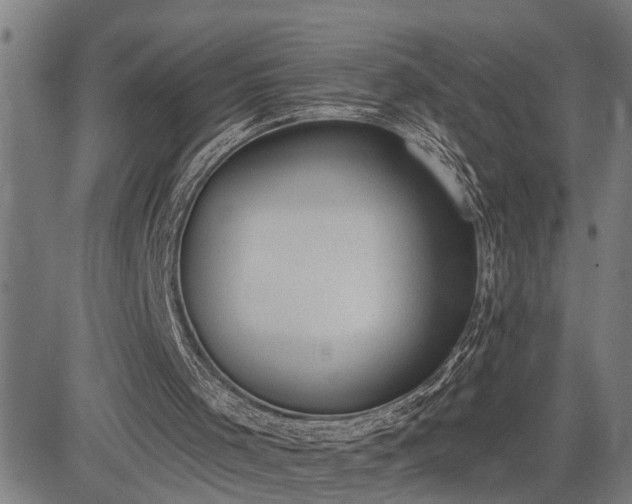 X0000085040001200703121445