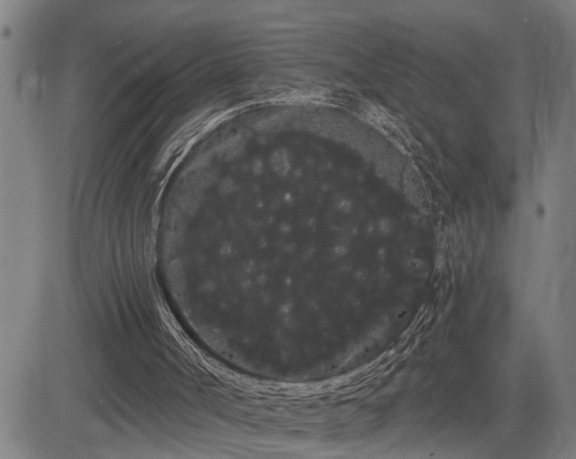 X0000085040002200703121445