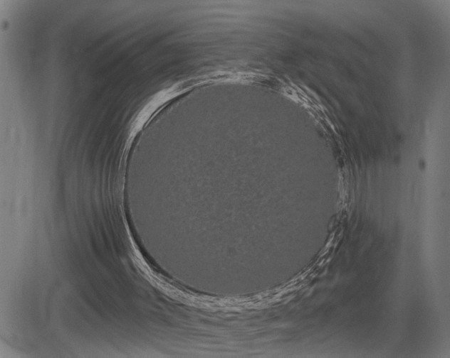 X0000085040003200703121445