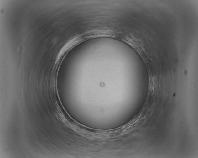 X0000085040004200703121445