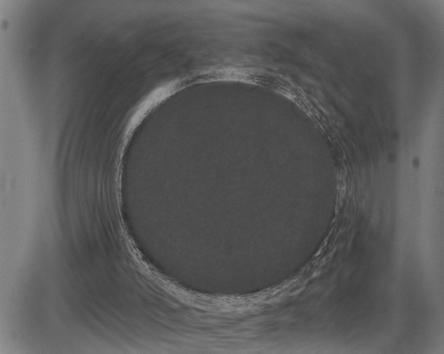 X0000085040006200703121445