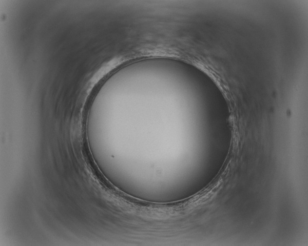 X0000085040008200703121445