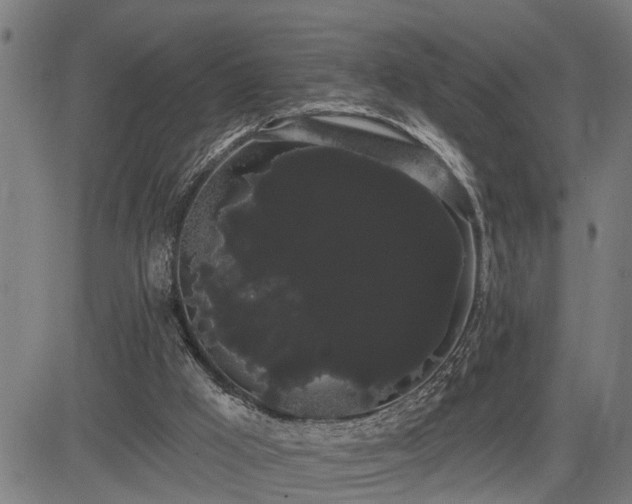 X0000085040009200703121445