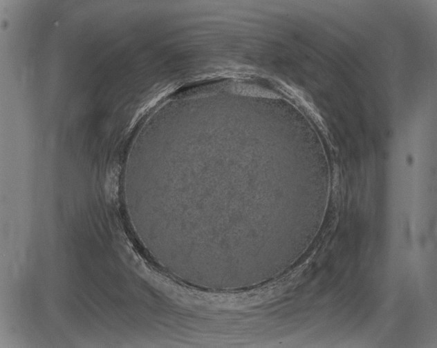 X0000085040010200703121445