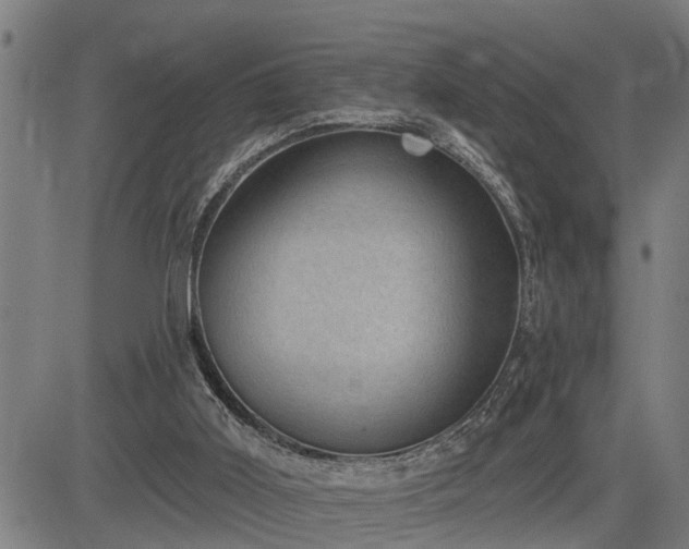 X0000085040011200703121445