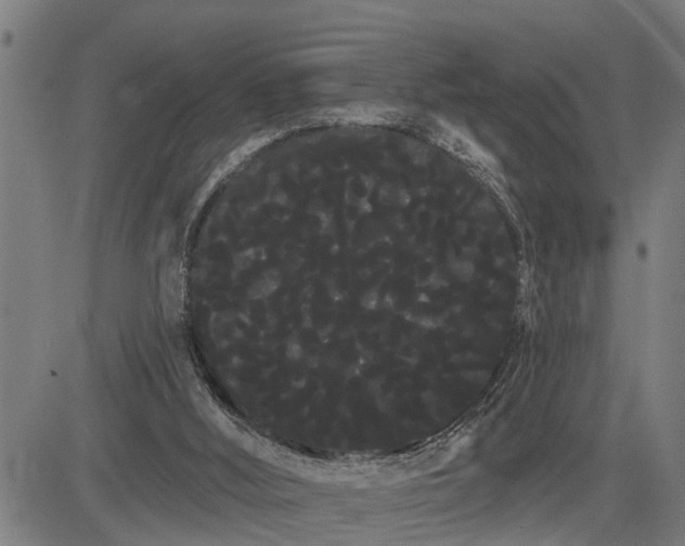 X0000085040012200703121445