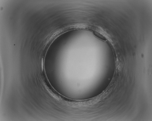 X0000085040013200703121445