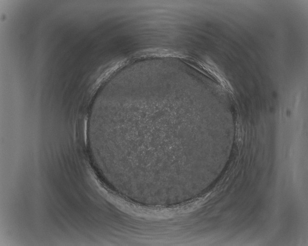 X0000085040014200703121445