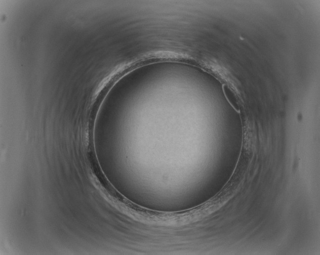 X0000085040015200703121445