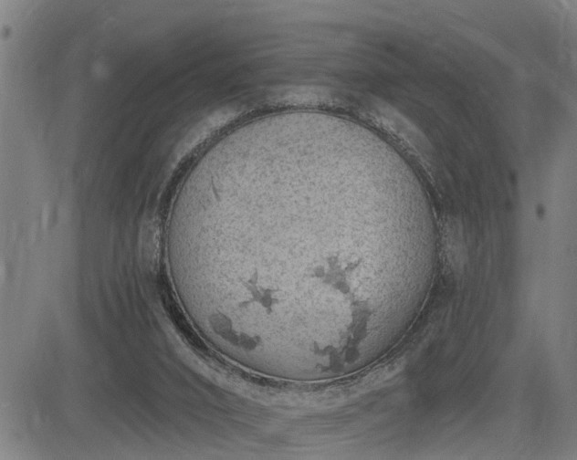 X0000085040016200703121445