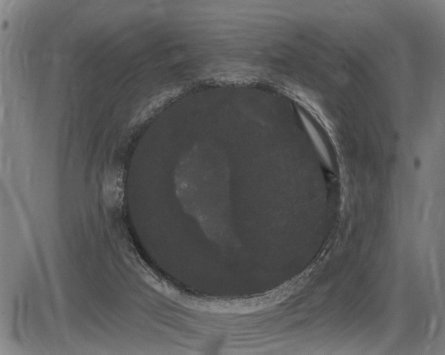 X0000085040017200703121445