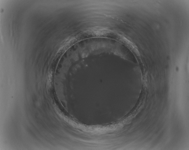 X0000085040018200703121445