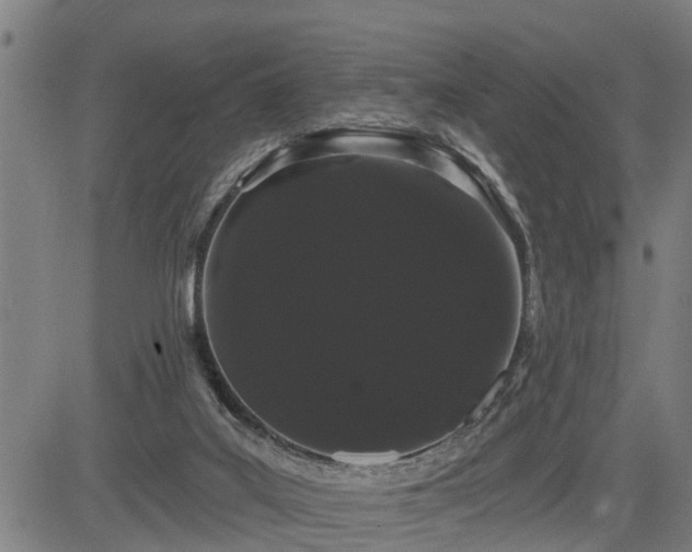 X0000085040019200703121445