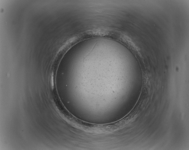 X0000085040020200703121445