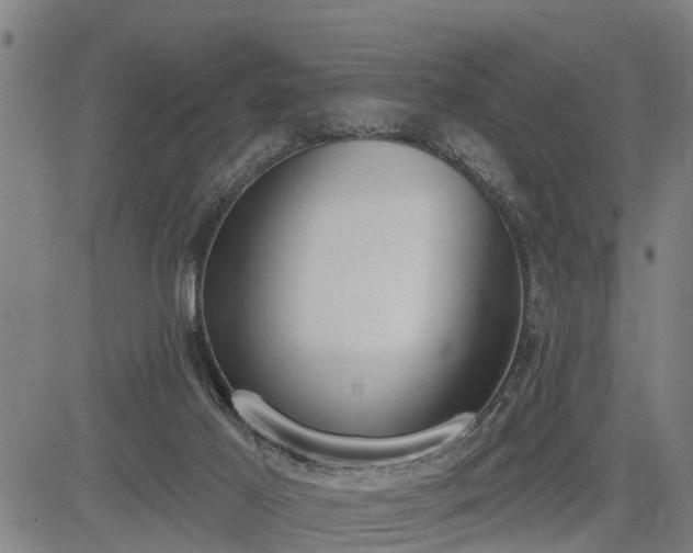 X0000085040021200703121445