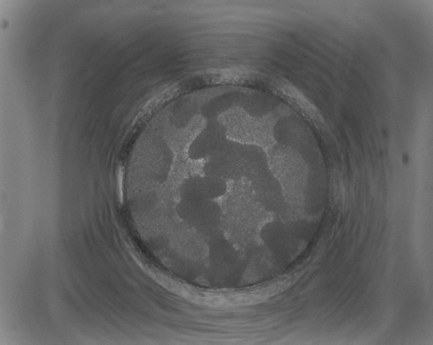 X0000085040022200703121445