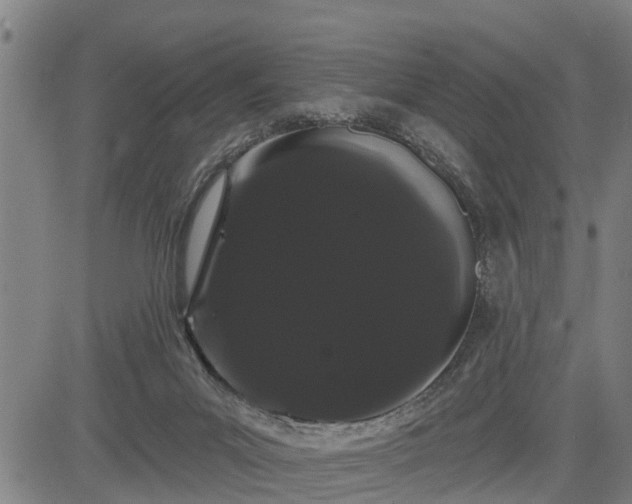 X0000085040023200703121445