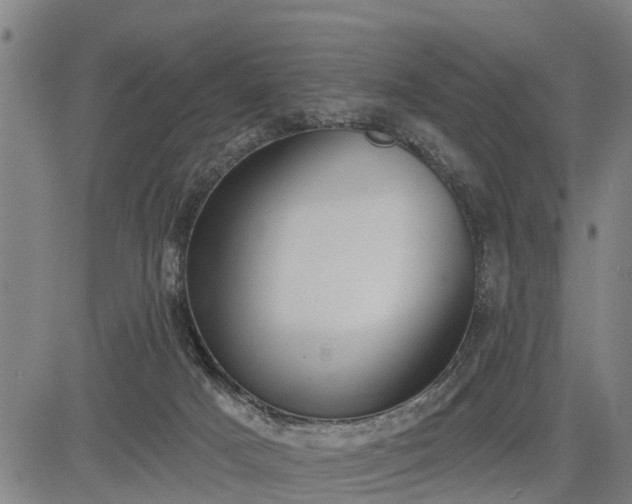 X0000085040025200703121445