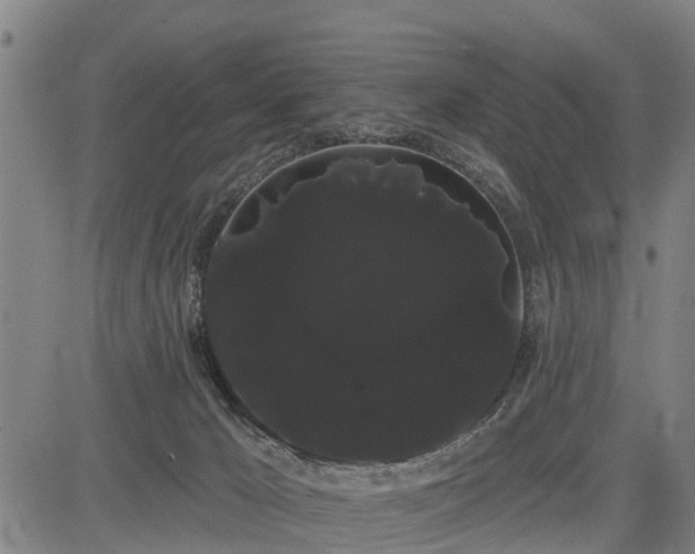 X0000085040029200703121445