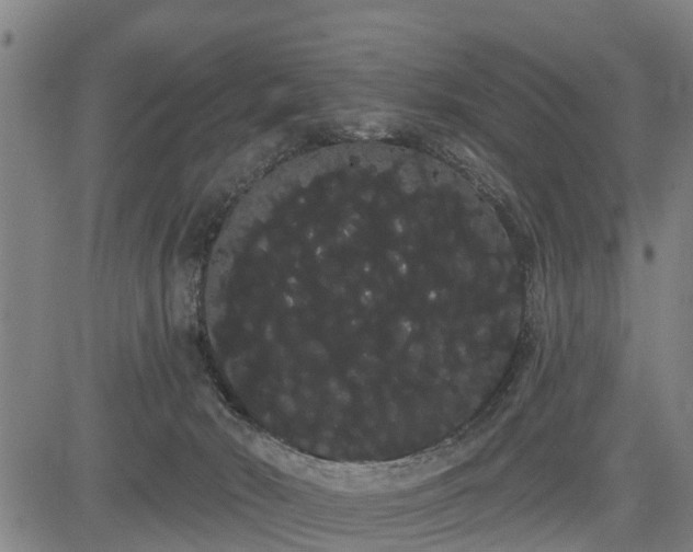 X0000085040030200703121445