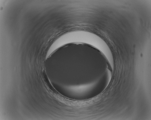 X0000085040031200703121445