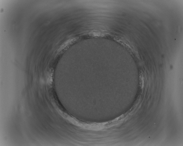 X0000085040032200703121445