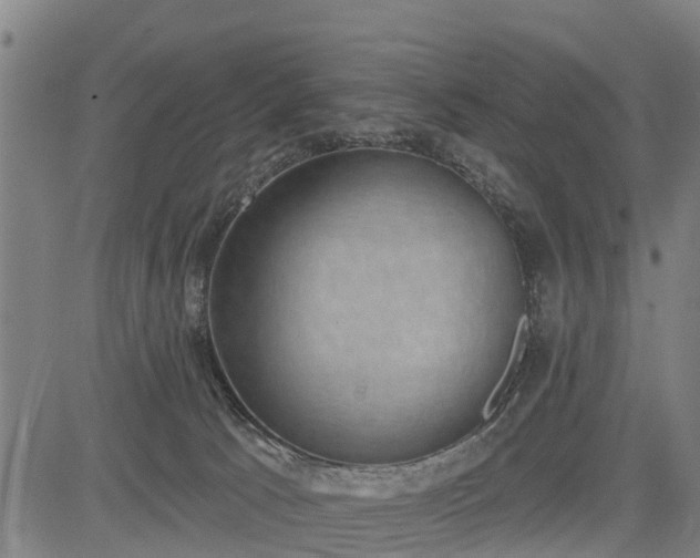 X0000085040033200703121445