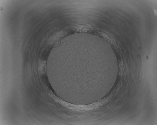 X0000085040034200703121445