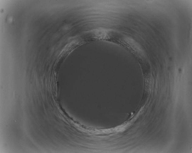 X0000085040035200703121445