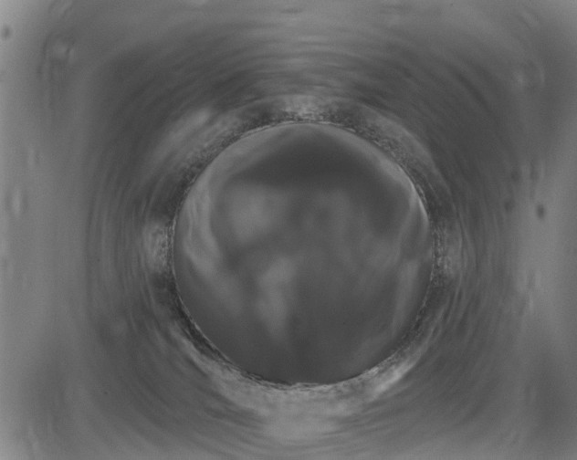 X0000085040036200703121445